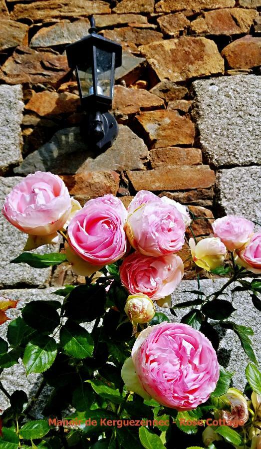 Pontrieux Rose Cottage מראה חיצוני תמונה